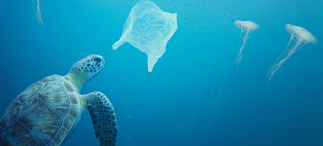 ocean pollution: turtle and a plastic bag in the ocean with jellyfish on the background