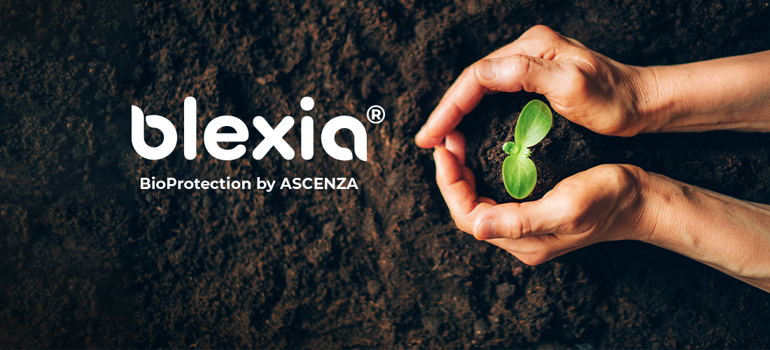 Blexia, les bioprotection par ascenza