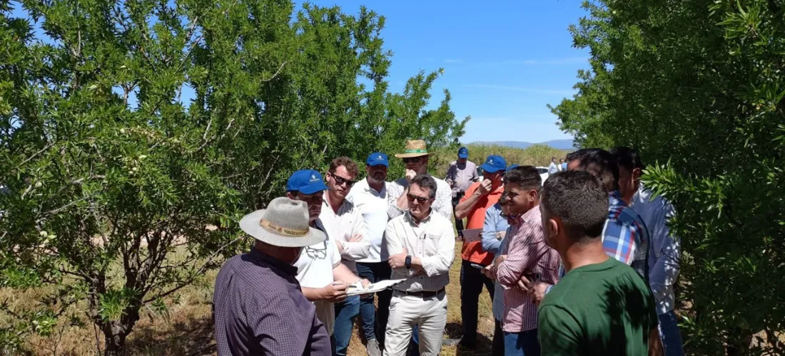 Personas del sector agrícola en el campo