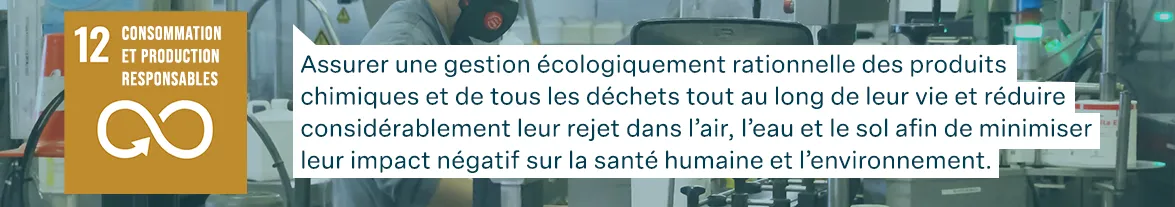 Objectifs de développement durable des Nations Unies : Consommation et production responsables