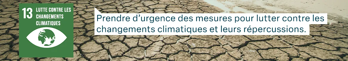 Objectifs de développement durable des Nations Unies : Lutte contre les changements climatiques - Prendre d’urgence des mesures pour lutter contre les changements climatiques et leurs répercussions.