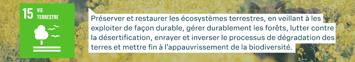 Objectifs de développement durable des Nations Unies : Vie Terrestre - Préserver et restaurer les écosystèmes terrestres, en veillant à les exploiter de façon durable, gérer durablement les forêts, lutter contre la désertification, enrayer et inverser le processus de dégradation des terres et mettre fin à l’appauvrissement de la biodiversité.