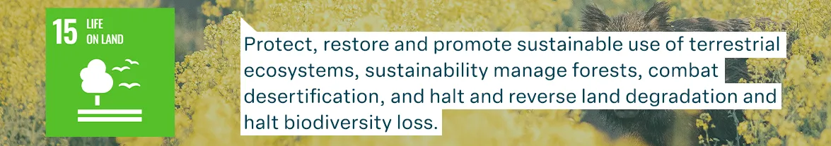 un goa 15 life on land: Protect, restore and promote sustainable use of terrestrial ecosystems, sustainability manage forests, combat desertification, and halt and reverse land degradation and halt biodiversity loss.