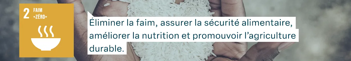 Objectifs de développement durable des Nations Unies : Faim «Zéro» - Éliminer la faim, assurer la sécurité alimentaire, améliorer la nutrition et promouvoir l’agriculture durable.