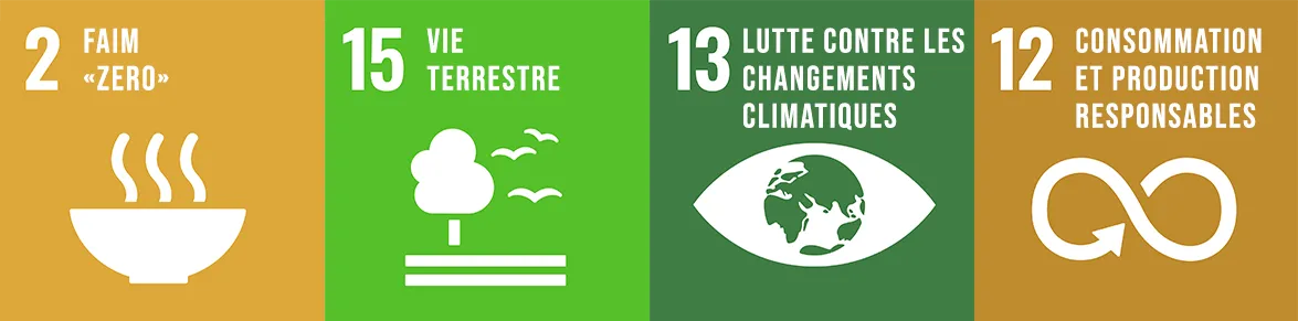 Objectif 2 Faim Zéro, Objectif 15 Vie Terrestre, Objectif 13 LUTTE CONTRE LES CHANGEMENTS CLIMATIQUES et Objectif 12 CONSOMMATION ET PRODUCTION RESPONSABLES 