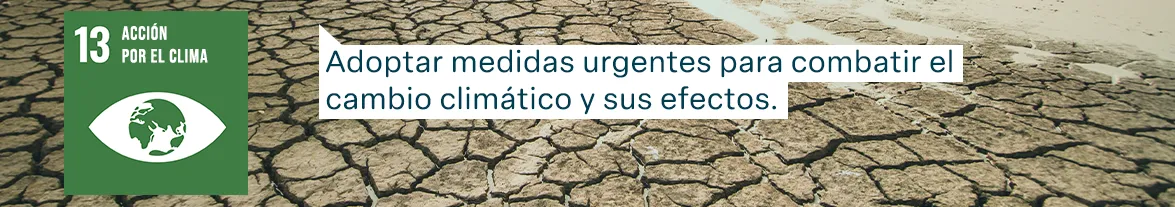 Objetivos de Desarrollo Sostenible de las Naciones Unidas: Acción por el clima - Adoptar medidas urgentes para combatir el cambio climático y sus efectos.