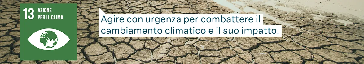 Obiettivi di sviluppo sostenibile FAO: Azione per il clima - Agire con urgenza per combattere il cambiamento climatico e il suo impatto.