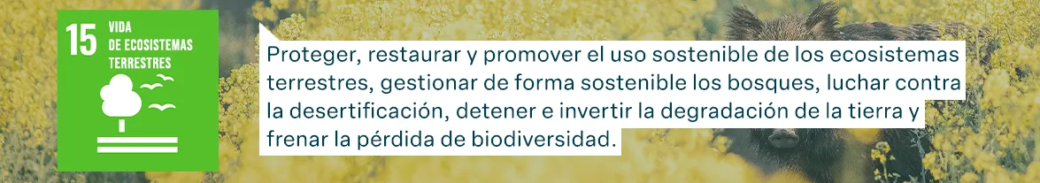 Objetivos de Desarrollo Sostenible de las Naciones Unidas: Vida de Ecosistemas Terrestres - Proteger, restaurar y promover el uso sostenible de los ecosistemas terrestres, gestionar de forma sostenible los bosques, luchar contra la desertificación, detener e invertir la degradación de la tierra y frenar la pérdida de biodiversidad.