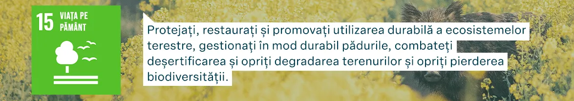 Obiectivele de Dezvoltare Durabilă ale Națiunilor Unite: Viață pe pământ - Protejați, restaurați și promovați utilizarea durabilă a ecosistemelor terestre, gestionați în mod durabil pădurile, combateți deșertificarea și opriți degradarea terenurilor și opriți pierderea biodiversității.