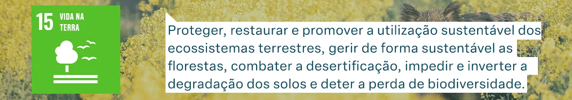 Objetivos de Desenvolvimento Sustentável das Nações Unidas: Vida na Terra - Proteger, restaurar e promover a utilização sustentável dos ecossistemas terrestres, gerir de forma sustentável as florestas, combater a desertificação, impedir e inverter a degradação dos solos e deter a perda de biodiversidade.