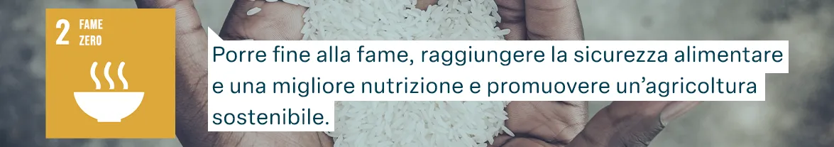 Obiettivi di sviluppo sostenibile dalla FAO: Fame zero - Porre fine alla fame, raggiungere la sicurezza alimentare e una migliore nutrizione e promuovere un’agricoltura sostenibile.