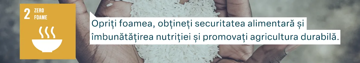 Obiectivele de Dezvoltare Durabilă ale Națiunilor Unite: Zero foame - Opriți foamea, obțineți securitatea alimentară și îmbunătățirea nutriției și promovați agricultura durabilă.