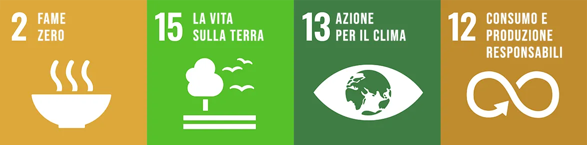 Obiettivi di sviluppo sostenibile dalla FAO: 2 - Fame zero, 15 - La vita sulla terra, 13 - Azione per il clima, 12 - Consumo e produzione responsabili