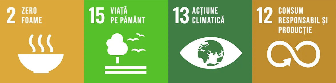 Obiectivele de Dezvoltare Durabilă ale Națiunilor Unite: Zero foame, Viața pe pământ, Acțiune climatică, Consum responsabil și producție