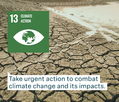 un goal 13 climate action: Take urgent action to combat  climate change and its impacts.
