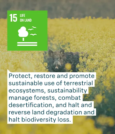 un goa 15 life on land: Protect, restore and promote sustainable use of terrestrial ecosystems, sustainability manage forests, combat desertification, and halt and reverse land degradation and halt biodiversity loss.
