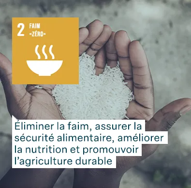 Objectifs de développement durable des Nations Unies : Faim «Zéro» - Éliminer la faim, assurer la sécurité alimentaire, améliorer la nutrition et promouvoir l’agriculture durable.