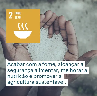 Objetivos de Desenvolvimento Sustentável das Nações Unidas: Fome Zero - Acabar com a fome, alcançar a segurança alimentar, melhorar a nutrição e promover a agricultura sustentável.