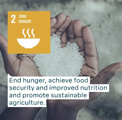 un goal 2 zero hunger: end hunger, achieve food security and improved nutrition and  promote sustainable agriculture