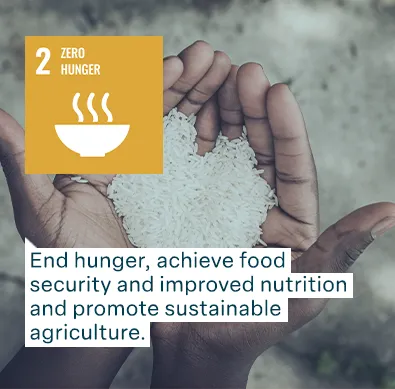 un goal 2 zero hunger: end hunger, achieve food security and improved nutrition and promote sustainable agriculture