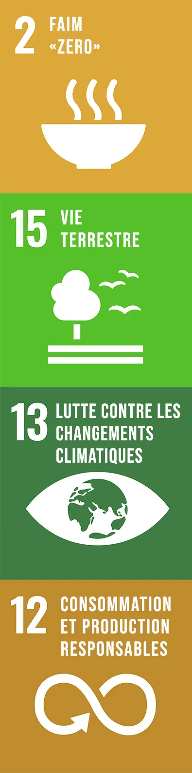 Objectif 2 Faim Zéro, Objectif 15 Vie Terrestre, Objectif 13 LUTTE CONTRE LES CHANGEMENTS CLIMATIQUES et Objectif 12 CONSOMMATION ET PRODUCTION RESPONSABLES 