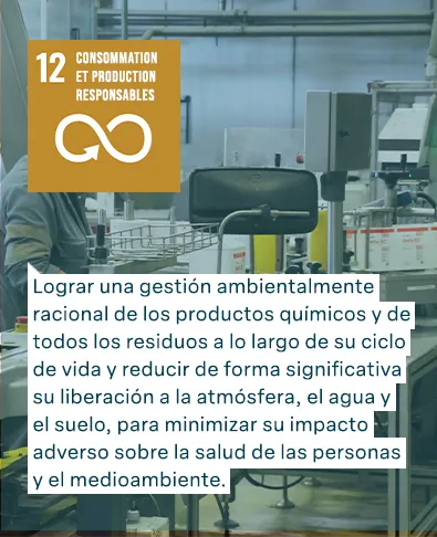 Objetivos de Desarrollo Sostenible de las Naciones Unidas: Producción y consumo responsables -Lograr una gestión ambientalmente racional de los productos químicos y de todos los residuos a lo largo de su ciclo de vida y reducir de forma significativa su liberación a la atmósfera, el agua y el suelo, para minimizar su impacto adverso sobre la salud de las personas y el medioambiente.