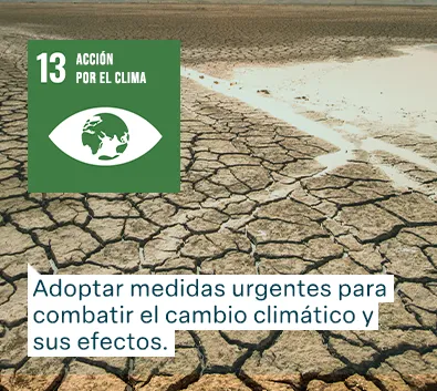 Objetivos de Desarrollo Sostenible de las Naciones Unidas: Acción por el clima - Adoptar medidas urgentes para combatir el cambio climático y sus efectos.