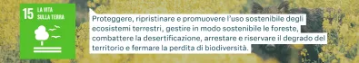 Obiettivi di sviluppo sostenibile delle Nazioni Unite: La vita sulla terra - Proteggere, ripristinare e promuovere l’uso sostenibile degli ecosistemi terrestri, gestire in modo sostenibile le foreste, combattere la desertificazione, arrestare e riservare il degrado del territorio e fermare la perdita di biodiversità.