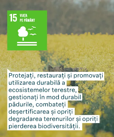 Obiectivele de Dezvoltare Durabilă ale Națiunilor Unite: Viață pe pământ  - Protejați, restaurați și promovați utilizarea durabilă a ecosistemelor terestre, gestionați în mod durabil pădurile, combateți deșertificarea și opriți degradarea terenurilor și opriți pierderea biodiversității.