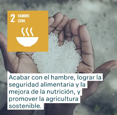 Objetivos de Desarrollo Sostenible de las Naciones Unidas: Hambre Cero - Acabar con el hambre, lograr la seguridad alimentaria y la mejora de la nutrición, y promover la agricultura sostenible.