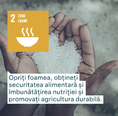 Obiectivele de Dezvoltare Durabilă ale Națiunilor Unite: Zero foame - Opriți foamea, obțineți securitatea alimentară și îmbunătățirea nutriției și promovați agricultura durabilă.