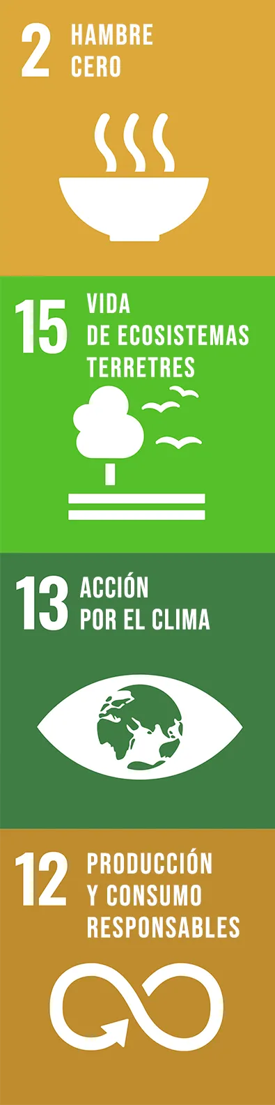 Objetivos de Desarrollo Sostenible de las Naciones Unidas en que Ascenza está trabajando: 2 -Hambre Cero, 15- Vida de ecosistemas terrestres, 13 - Acción por el clima y 12 - Producción y consumo responsables
