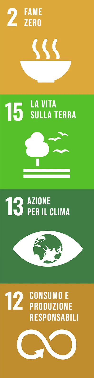 Obiettivi di sviluppo sostenibile dalla FAO: 2 - Fame zero, 15 - La vita sulla terra, 13 - Azione per il clima, 12 - Consumo e produzione responsabili